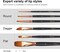 6 PCS Paint Brush Set – Mixed Shapes for Watercolor, Rock & Face Painting, Craft & Adult Art